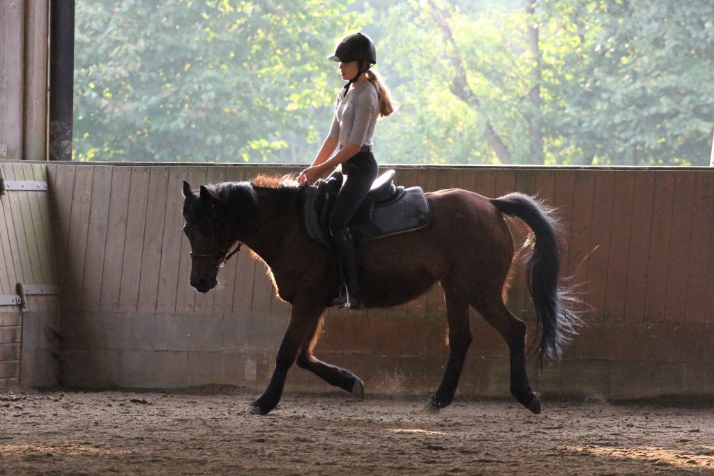 Reiten Lernen Reitgemeinschaft Am Raakmoor E V