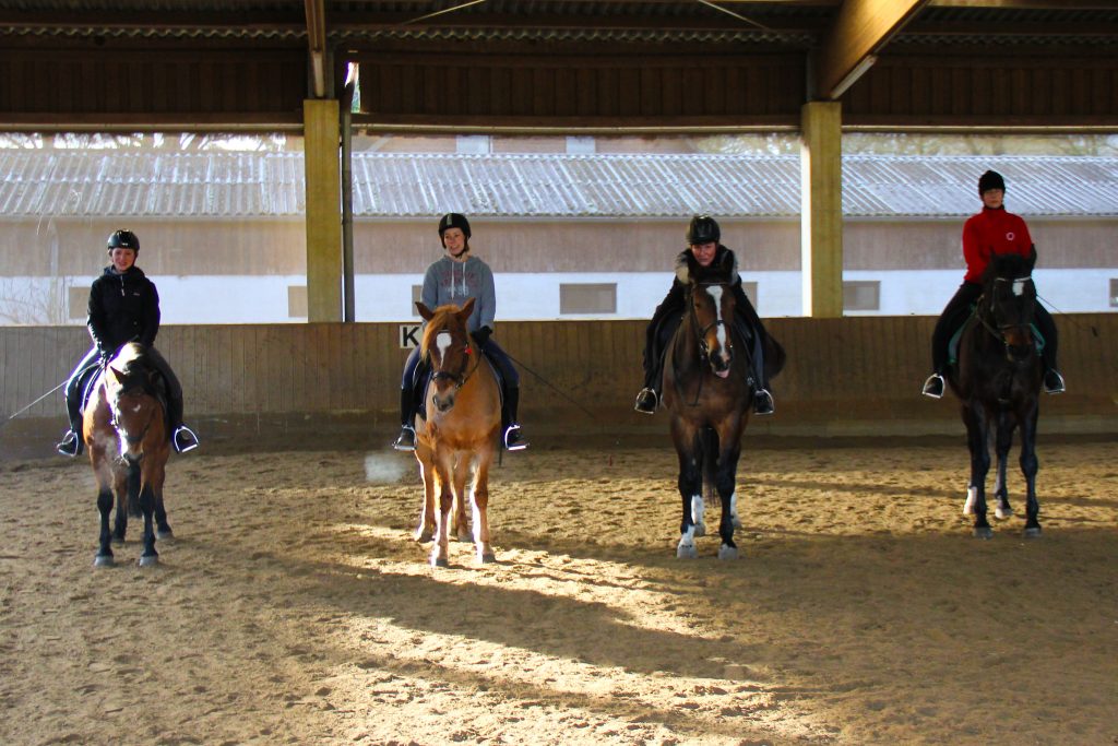 Reiten Lernen Reitgemeinschaft Am Raakmoor E V